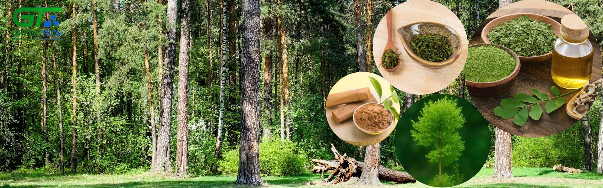 Giới thiệu Công ty Cổ phần Công nghệ Toàn Cầu Xanh GreenTech