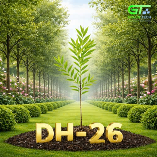 Đàn Hương DH-26