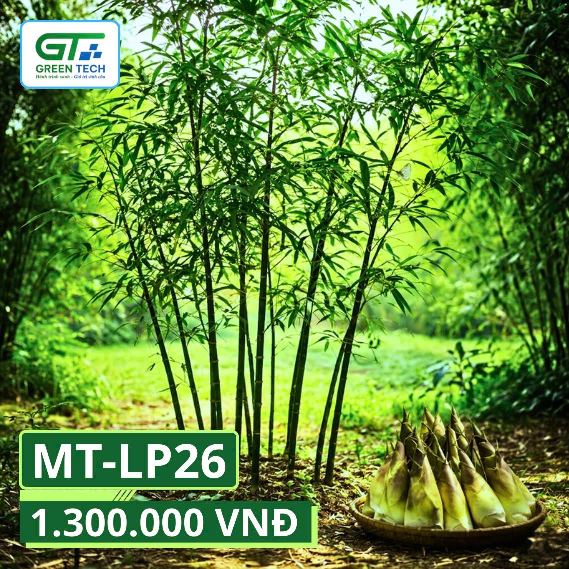 Măng Trúc Lộc Phát
