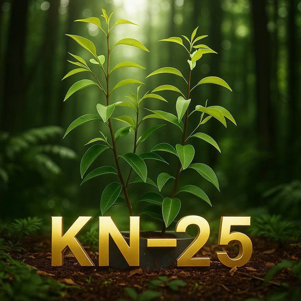 Trầm Hương KN-25